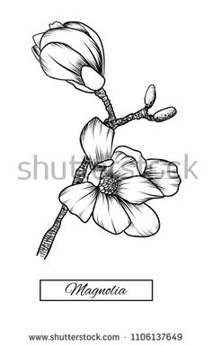 236x385  - Violet Flower Drawing
