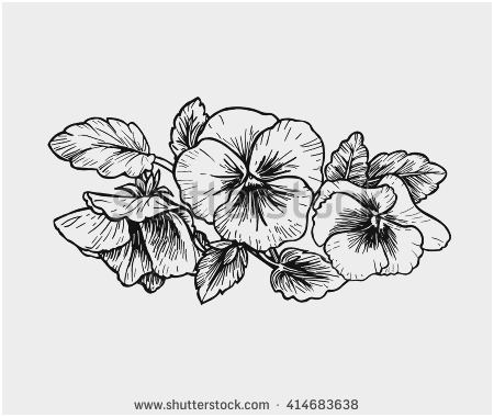 450x380 violet flower coloring - Violet Flower Drawing