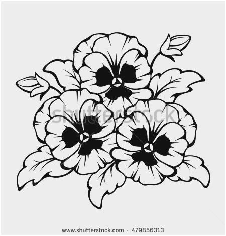 450x470 violet flower coloring - Violet Flower Drawing