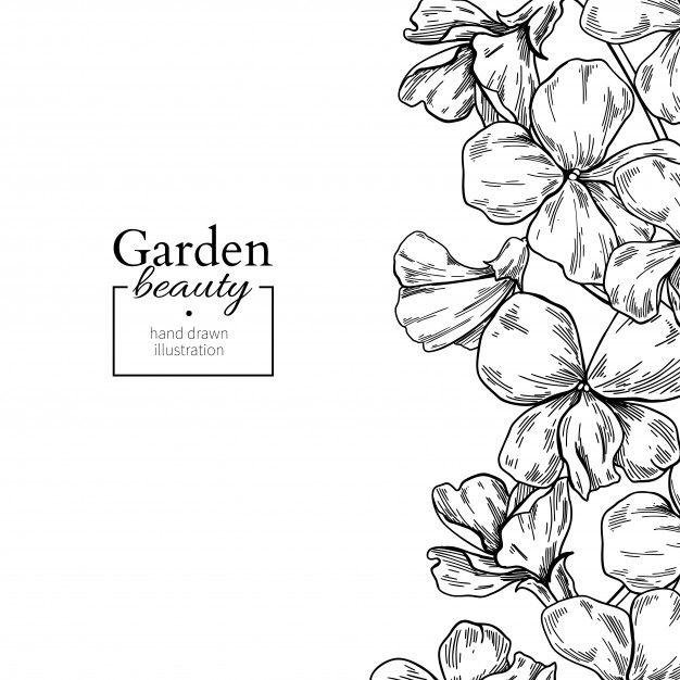 626x626 violet flower drawing vector premium download - Violet Flower Drawing