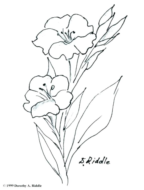 Black Violet Flower Tattoo - tattoo design