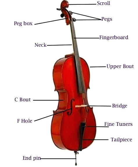 Violin Bow Drawing at PaintingValley.com | Explore collection of Violin ...