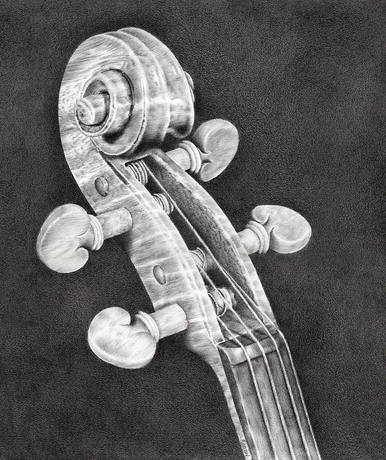 755x900 Violin Scroll Drawing - Violin Drawing