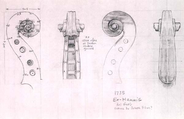 600x389 Scroll Of Violin - Violin Scroll Drawing