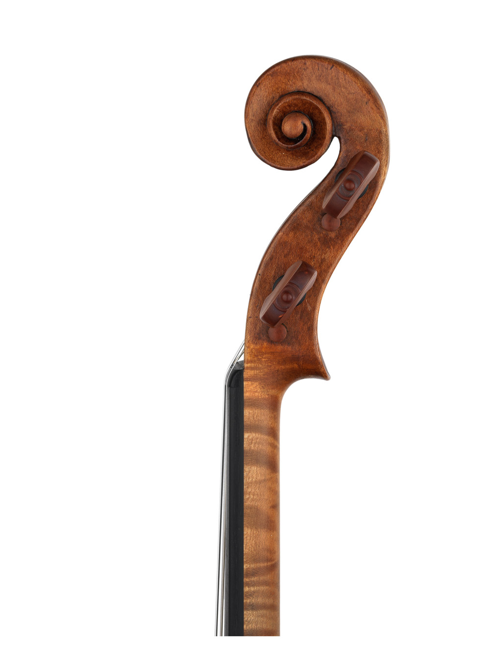 1000x1333 the violin shop why scrolls - Violin Scroll Drawing