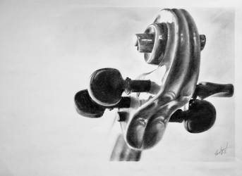 343x250 Violin Scroll - Violin Scroll Drawing