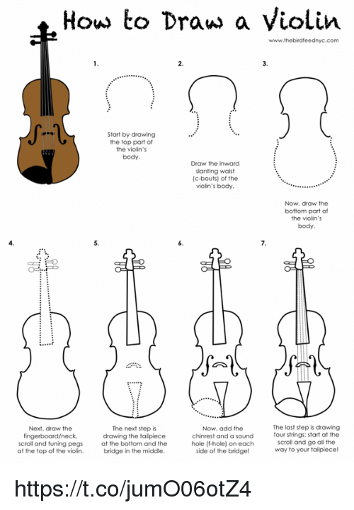 500x719 How To Draw A Violin Start - Violin Scroll Drawing