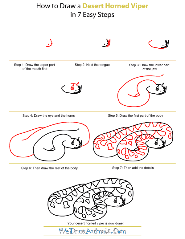 600x776 how to draw a desert horned viper - Viper Drawing