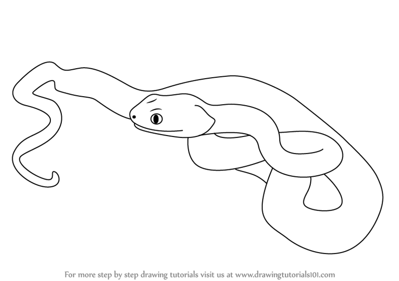 800x564 learn how to draw a pit viper - Viper Drawing
