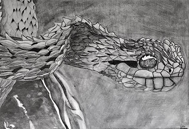 632x433 viper head drawing - Viper Drawing