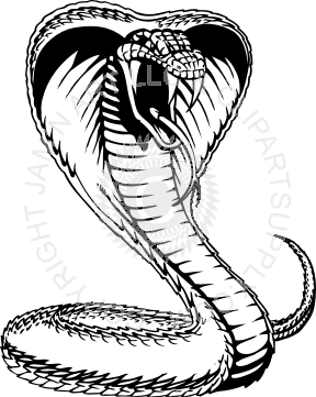 288x361 viper snake drawings viper snake head drawing viper snake - Viper Drawing