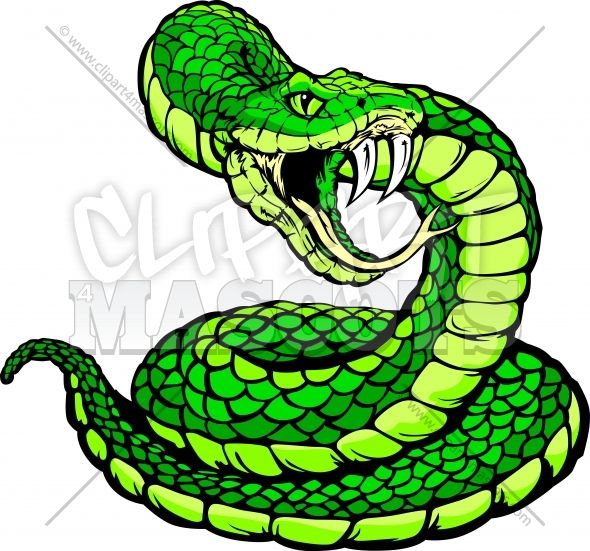 590x551 rattlesnake pit viper transparent png clipart free download - Viper Head Drawing