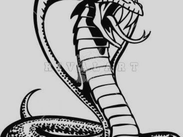 640x480 viper clipart viper head - Viper Head Drawing