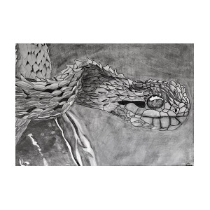 300x300 viper head drawing - Viper Head Drawing