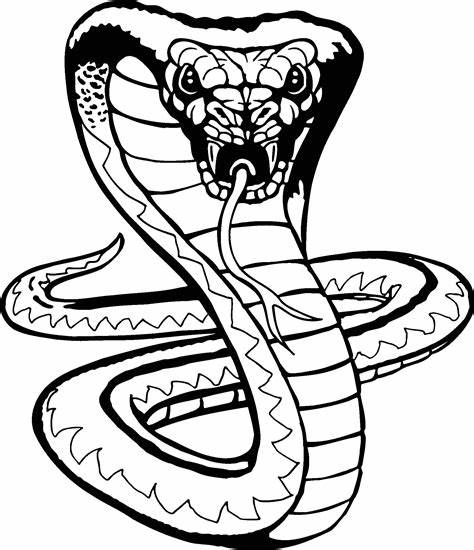 474x550 viper snake head drawing gtgt - Viper Head Drawing