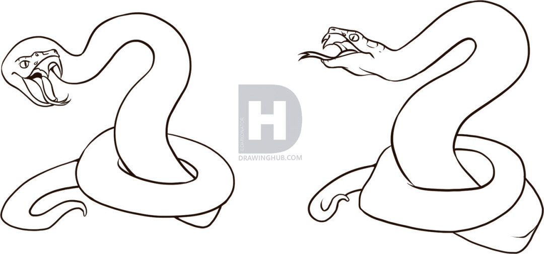 1080x505 how to draw a viper, step - Viper Snake Drawing