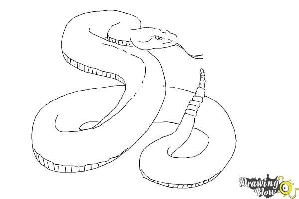 600x400 how to draw a viper snake step - Viper Snake Drawing