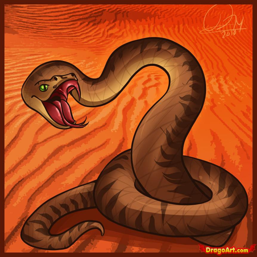 862x862 how to draw a viper, step - Viper Snake Drawing