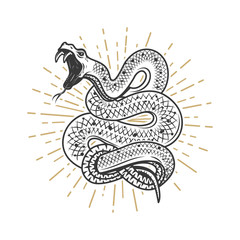 240x240 Snake Drawing Photos, Royalty Free Images, Graphics, Vectors - Viper Snake Drawing
