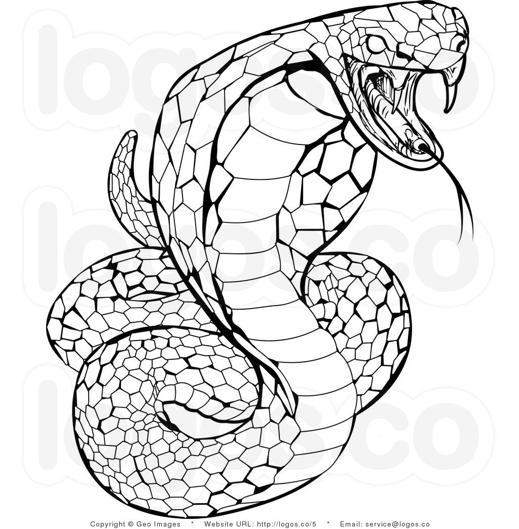 1024x1044 Viper Snake Coloring - Viper Snake Drawing