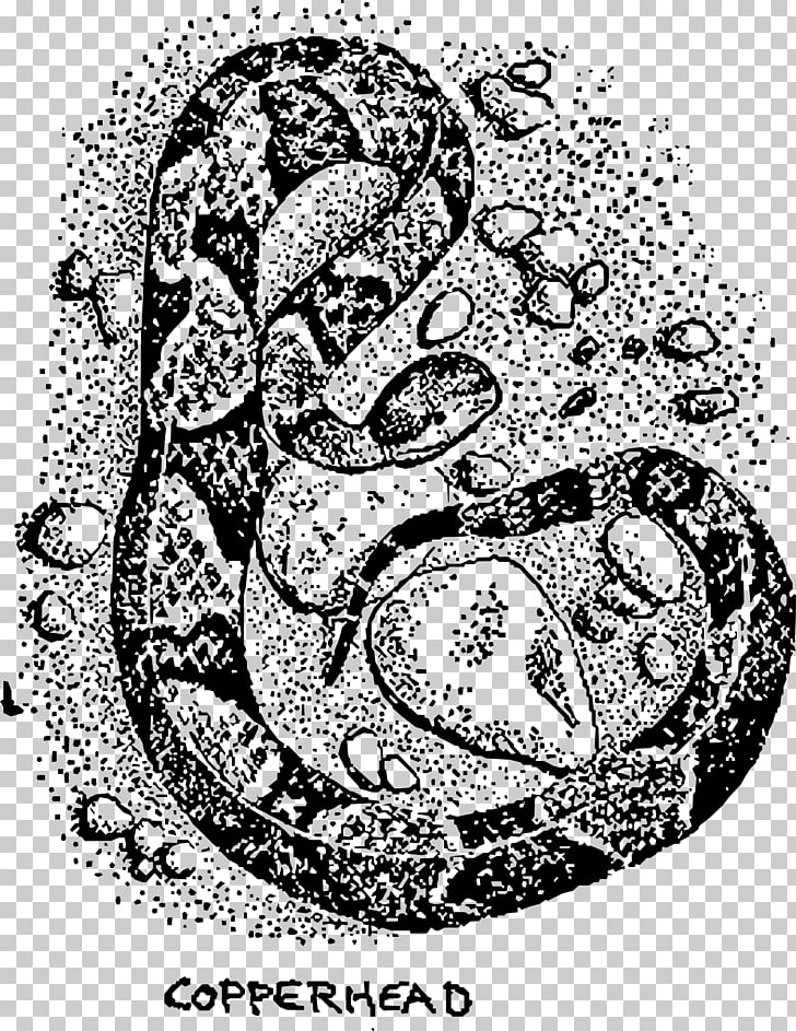 728x943 Vipers Snake Drawing Reptile Northern Copperhead, Snake Png - Viper Snake Drawing