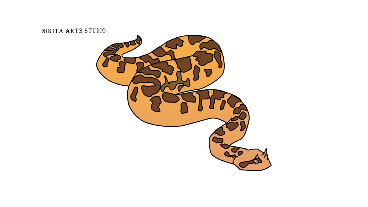 Viper Snake Drawing at Explore collection of Viper