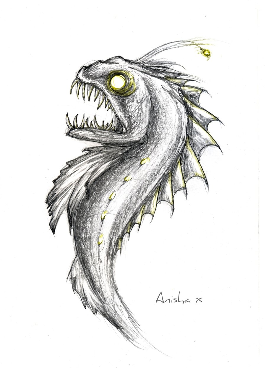 Viperfish Drawing at Explore collection of
