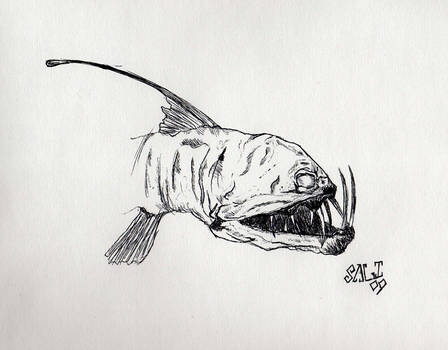 448x350 Viperfish - Viperfish Drawing