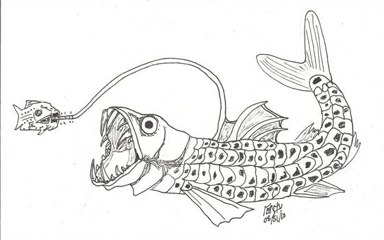 561x350 Viperfish - Viperfish Drawing