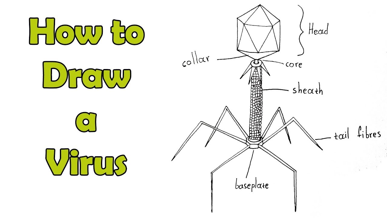 1280x720 how to draw a virus - Virus Drawing