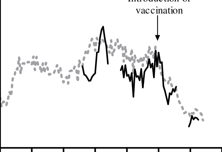 755x518 smallpox drawing virus transparent png clipart free download - Virus Drawing