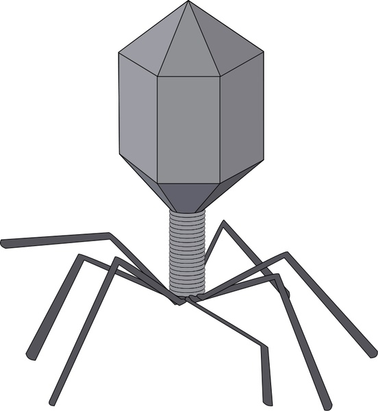 552x600 virus free vector in open office drawing - Virus Drawing