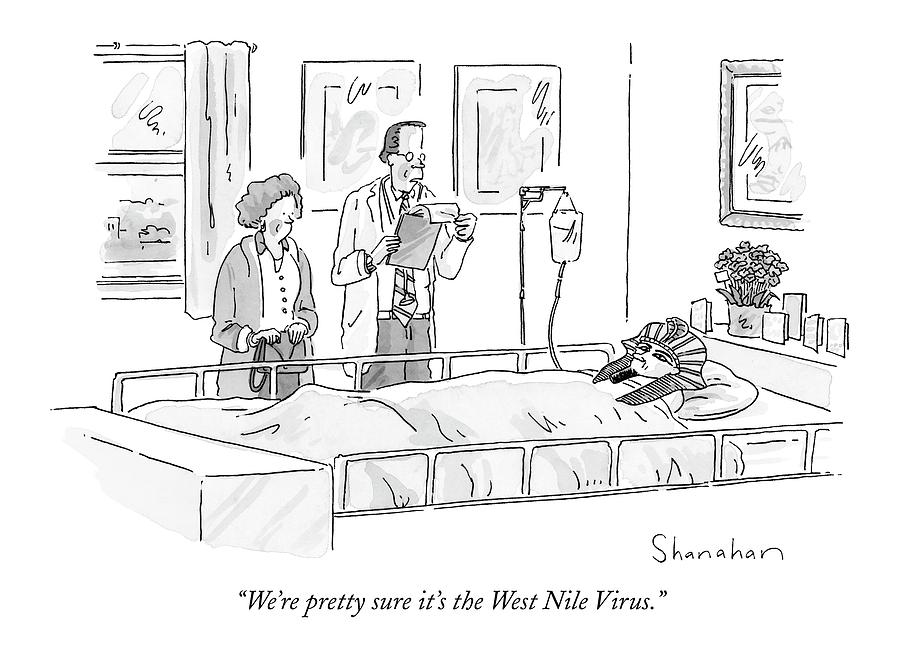 900x663 we're pretty sure it's the west nile virus drawing - Virus Drawing