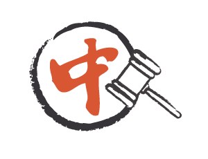 300x230 Shanghai's New Startup Visa - Visa Drawing