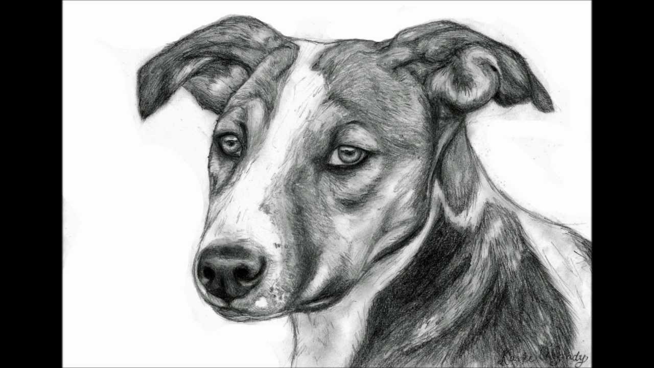 1280x720 visual art - Visual Arts Drawing