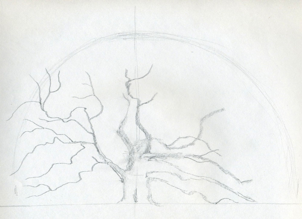 1000x726 Draw An Oak Tree Angel Oak Tree - Visual Drawing