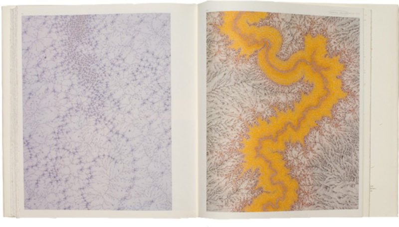 800x456 vitamin d new perspectives in drawing map magazine - Vitamin Drawing