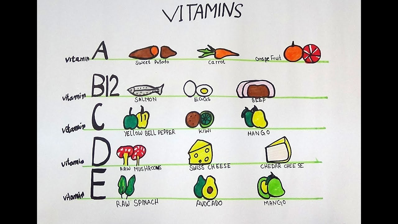 1280x720 draw and color source of vitamin a,b,c,d and e - Vitamin Drawing