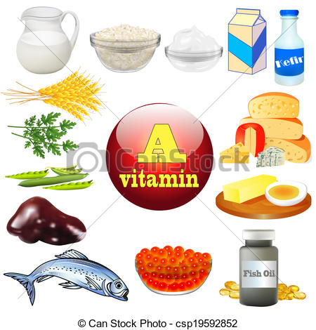 450x470 illustration vitamin a and plant and animal products - Vitamin Drawing