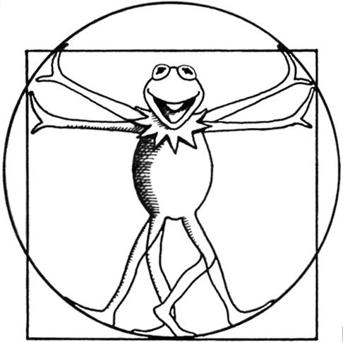 486x484 Kermit As Leonardo Da Vinci's Vitruvian Man Drawing Taken - Vitruvian Man Drawing