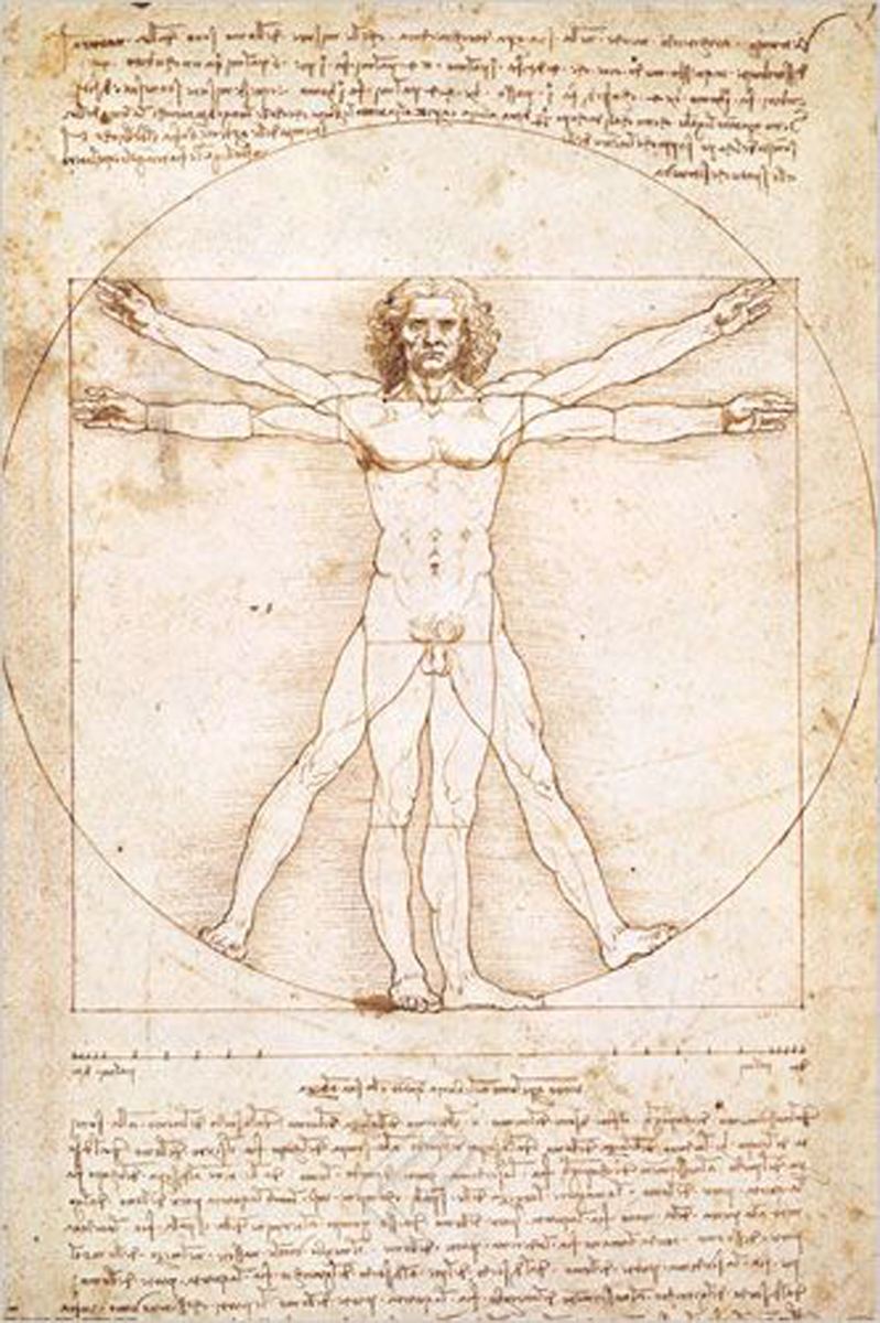 799x1200 Leonardo Da Vinci - Vitruvian Man Drawing