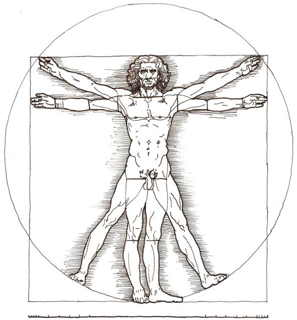 592x637 Leonardo Da Vinci The New Vitruvian Man - Vitruvian Man Drawing