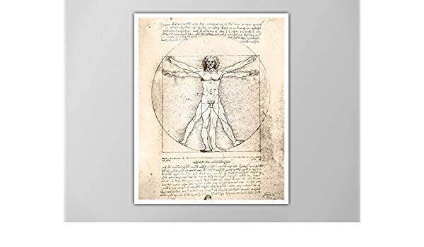 600x350 Vitruvian Man, Da Vinci Human Anatomy Art Print - Vitruvian Man Drawing