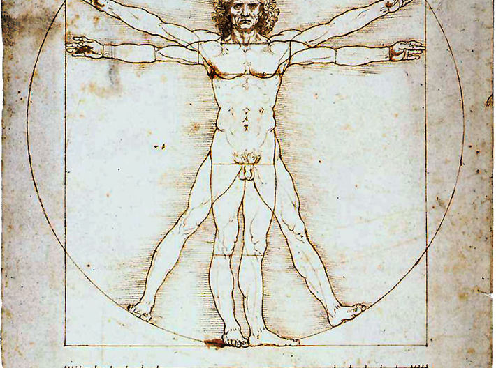 710x528 Vitruvian Man - Vitruvian Man Drawing