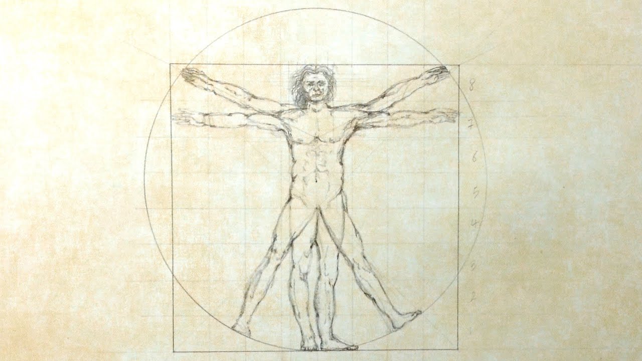 1280x720 Vitruvian Man - Vitruvian Man Drawing