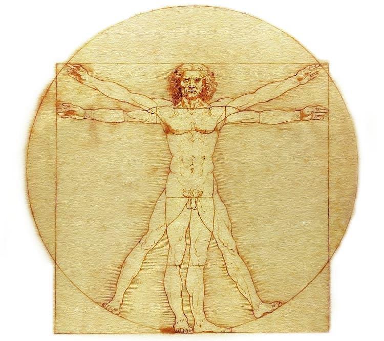 750x666 Vitruvian Man Drawing - Vitruvian Man Drawing