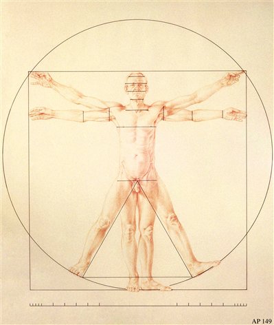 399x472 Beyond Drawing Basics Proving Leonardo's Theories On Human - Vitruvian Man Drawing