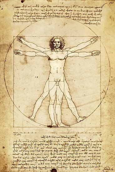 368x550 Vitruvian Man Drawing - Vitruvian Man Drawing