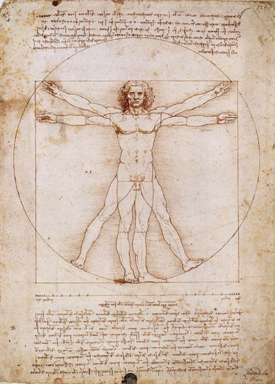 400x559 Vitruvian Man - Vitruvian Man Drawing