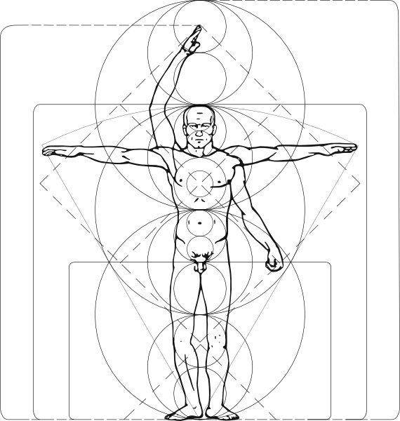 570x600 Vitruvian Man Clip Art Free Vector In Open Office Drawing - Vitruvian Man Drawing